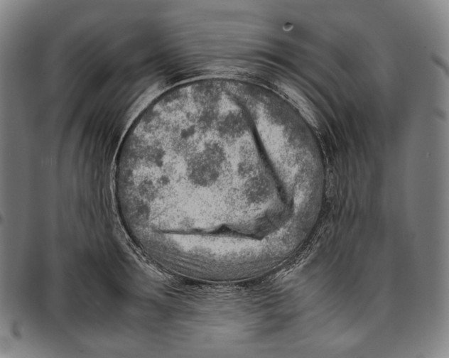 X0000096960899200802291118