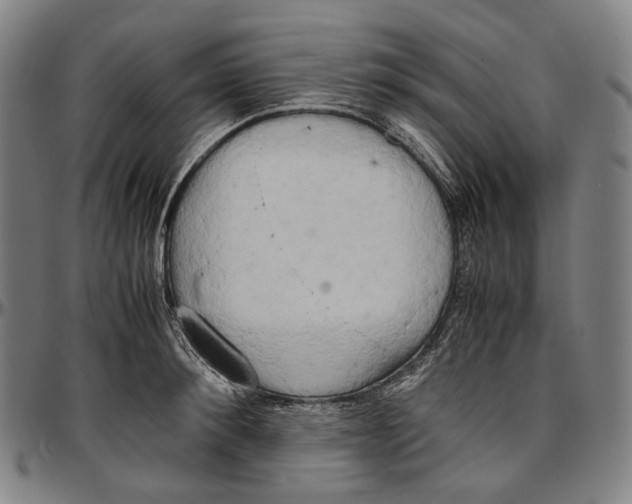 X0000096960900200802291118