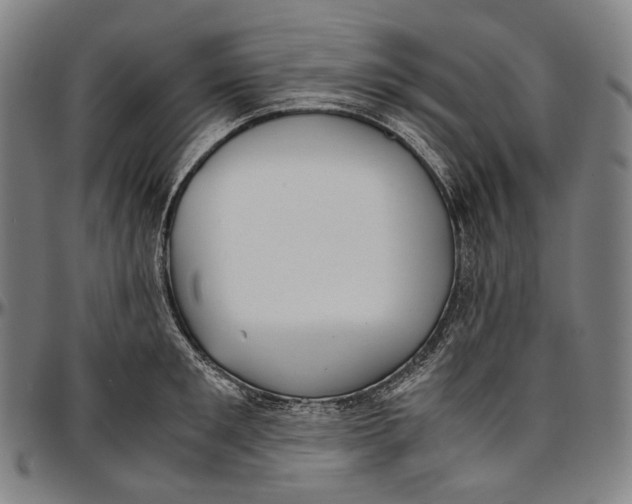 X0000096960901200802291118