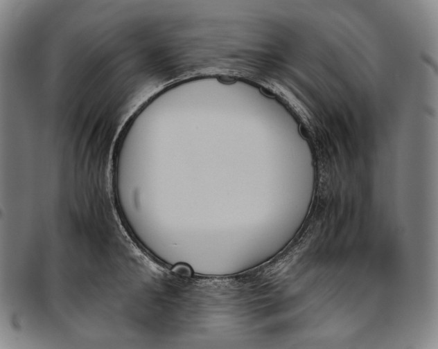 X0000096960902200802291118