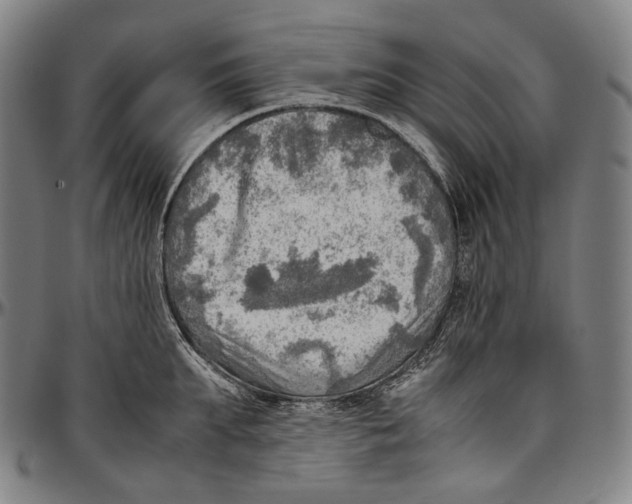 X0000096960903200802291118