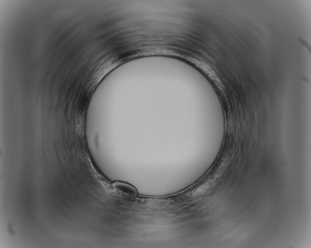 X0000096960905200802291118