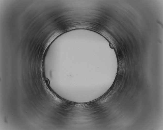 X0000096960906200802291118