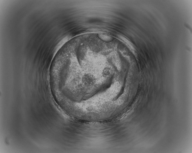 X0000096960907200802291118