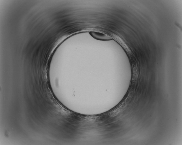 X0000096960908200802291118