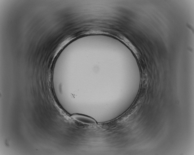 X0000096960909200802291118