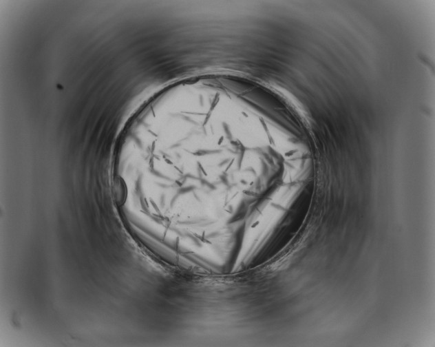 X0000096960910200802291118