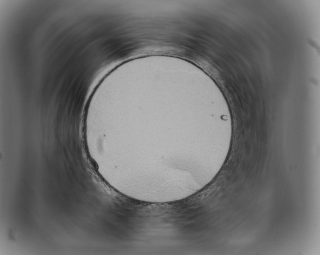 X0000096960912200802291118