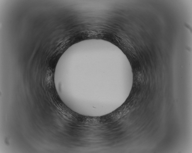 X0000096960914200802291117