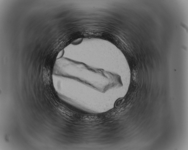 X0000096960915200802291117