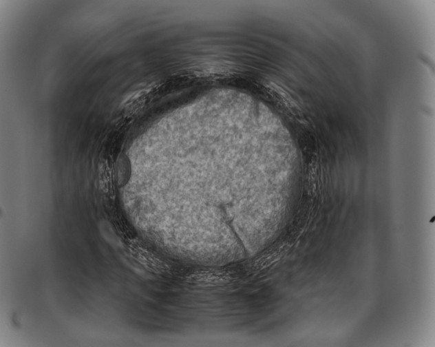 X0000096960917200802291117