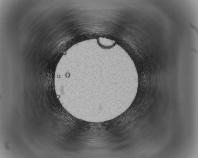 X0000096960918200802291117