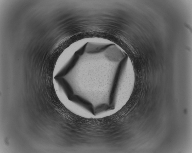 X0000096960919200802291117