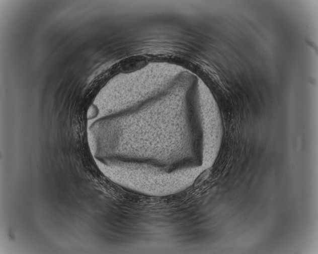 X0000096960920200802291117