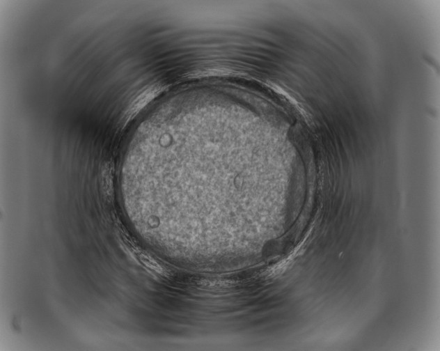 X0000096960921200802291117