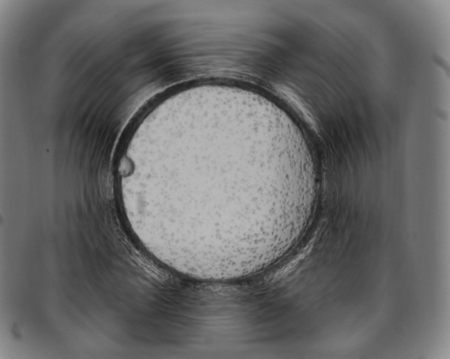 X0000096960924200802291117