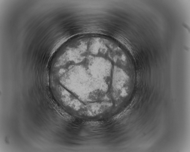 X0000096960925200802291117