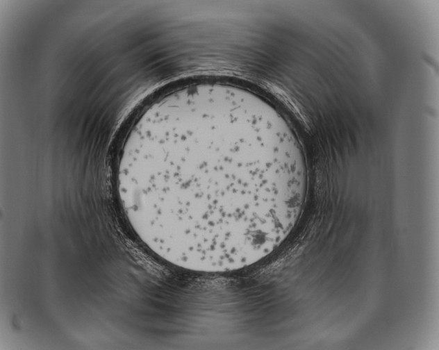 X0000096960926200802291117