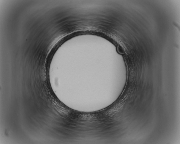 X0000096960927200802291117