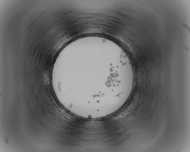 X0000096960929200802291117