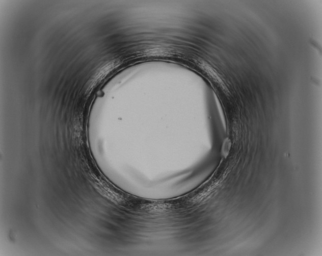 X0000096960930200802291117