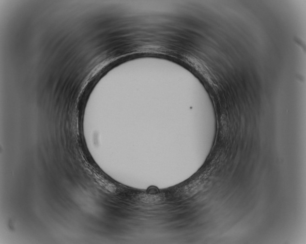 X0000096960931200802291117