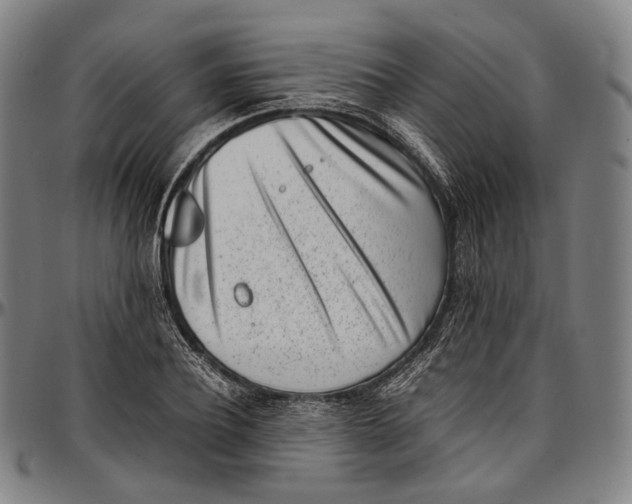 X0000096960932200802291117