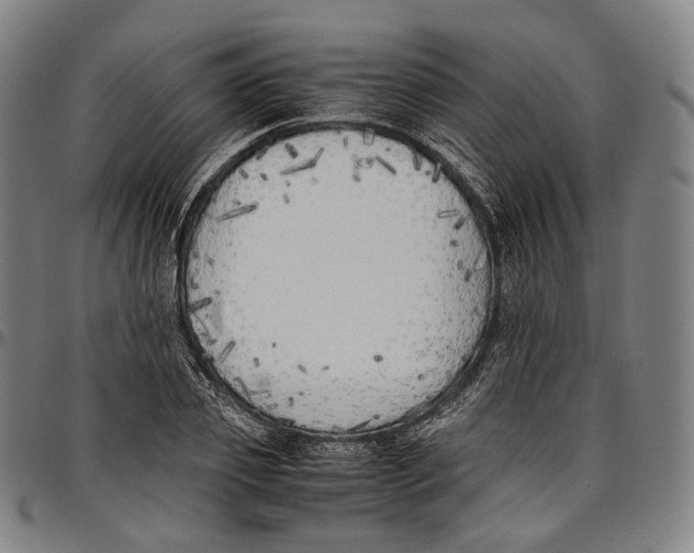 X0000096960933200802291117