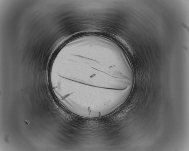 X0000096960935200802291117