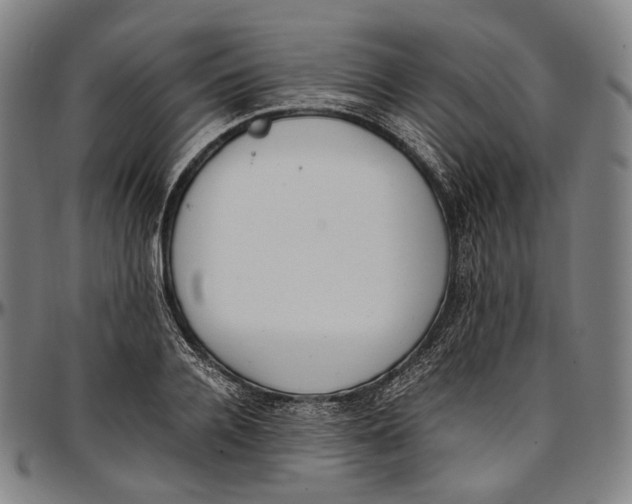 X0000096960936200802291117