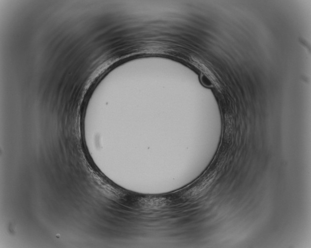 X0000096960939200802291118