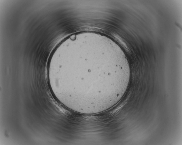 X0000096960940200802291118