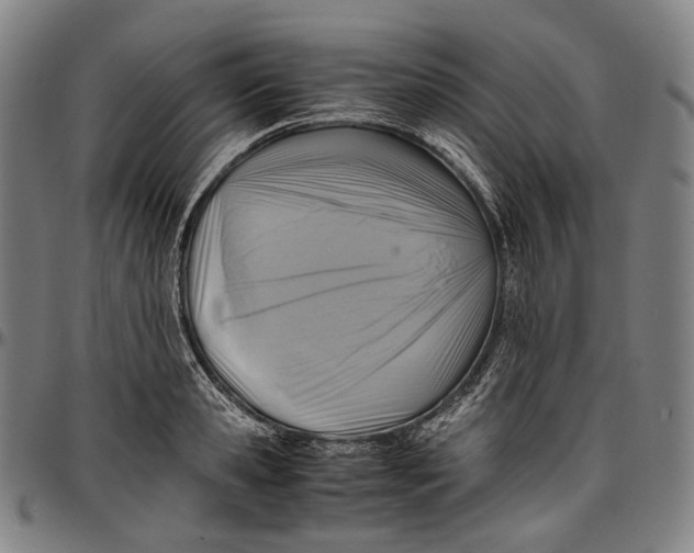 X0000096960941200802291118