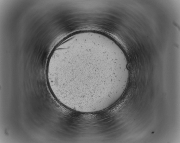 X0000096960943200802291118