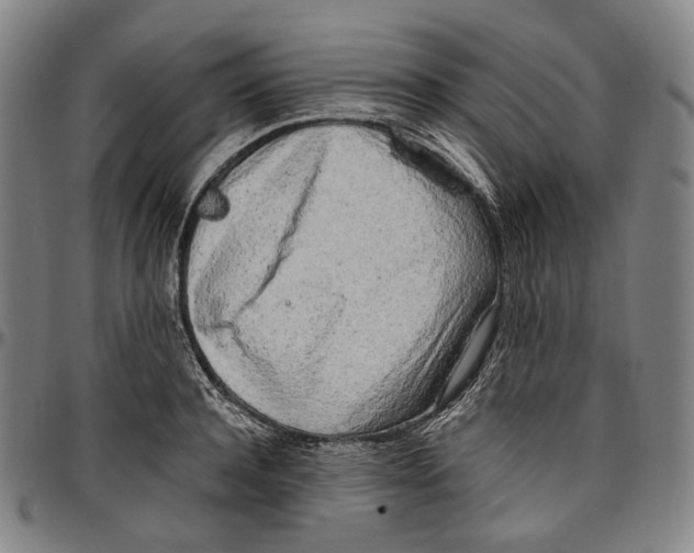 X0000096960944200802291118