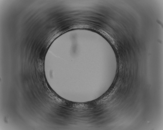 X0000096960945200802291118