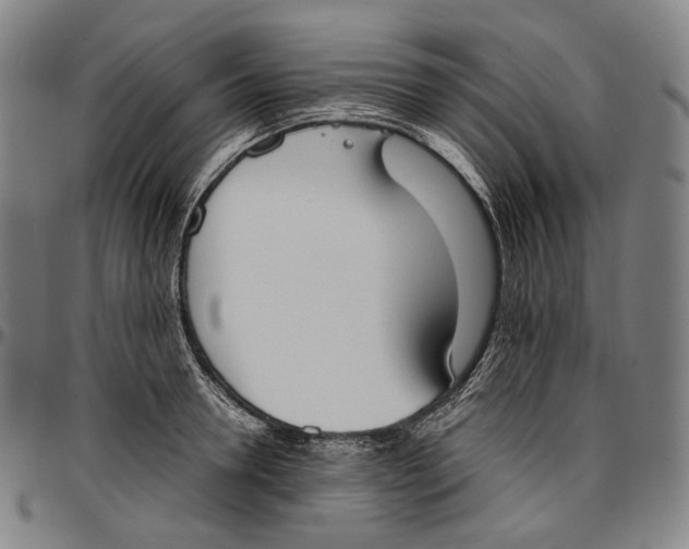 X0000096960946200802291118