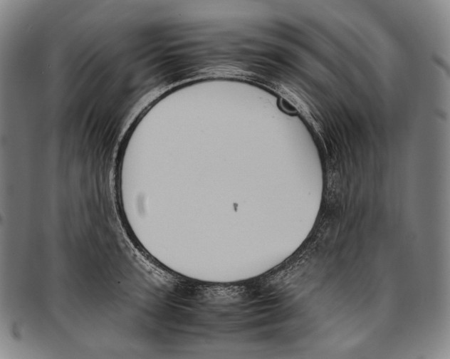 X0000096960947200802291118