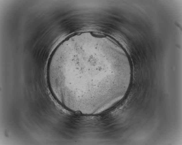 X0000096960949200802291118