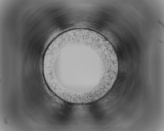 X0000096960950200802291118