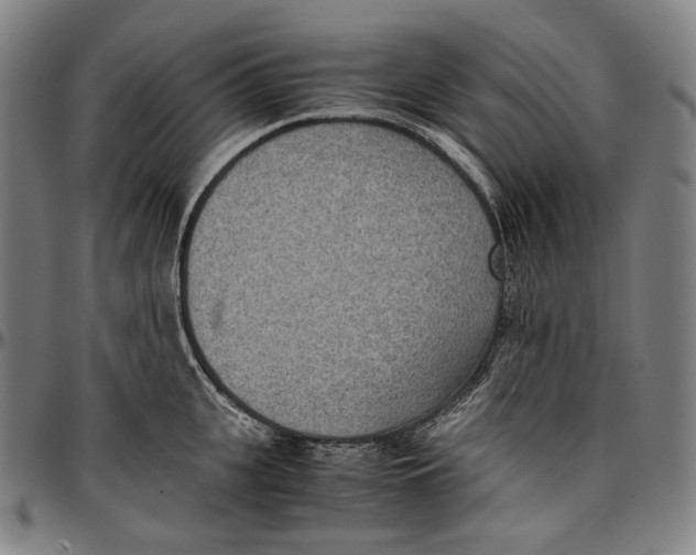 X0000096960951200802291118