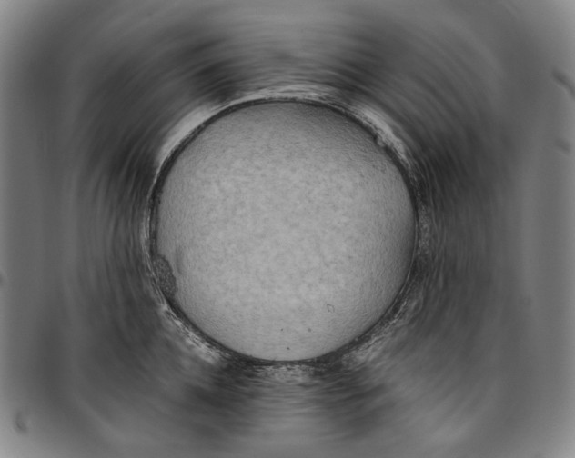 X0000096960952200802291118