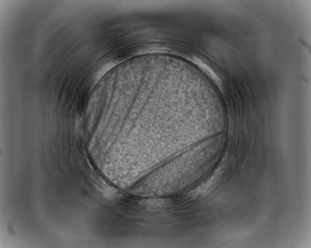 X0000096960953200802291118