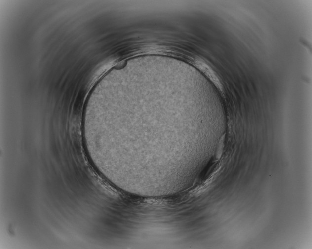 X0000096960954200802291118