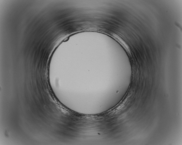 X0000096960956200802291118