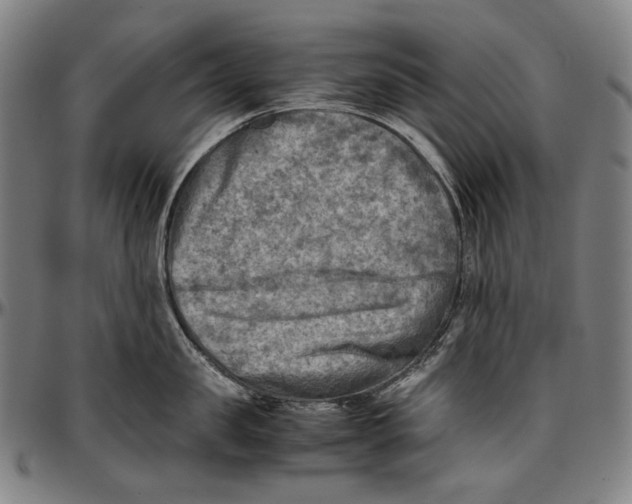 X0000096960957200802291118