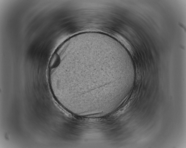 X0000096960958200802291118