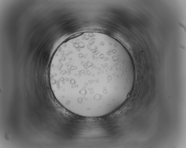 X0000096960960200802291118