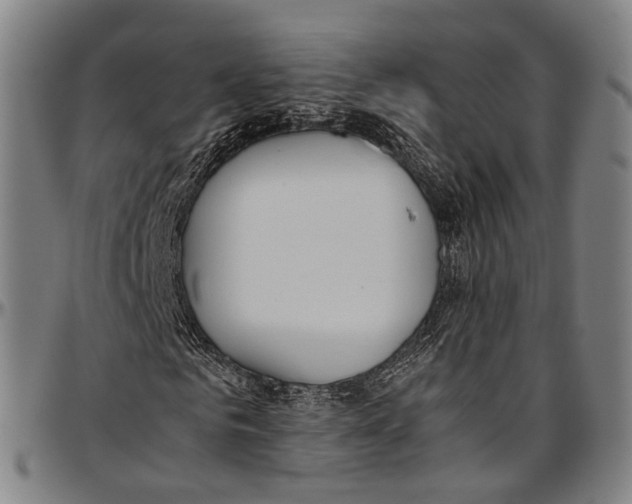 X0000096960961200802291117