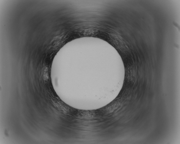 X0000096960962200802291117